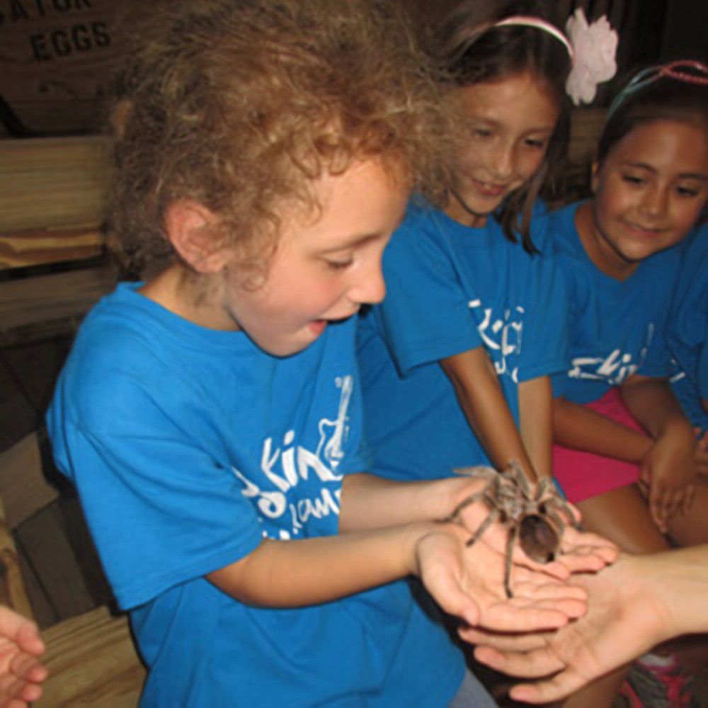 Summer Camp program at Monarch Children's Academy, photo 1